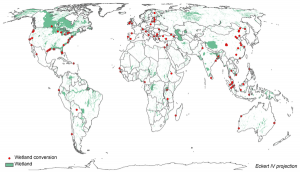 Global distribution of 105 wetland conversion case studies (from van Asselen et al., 2013)